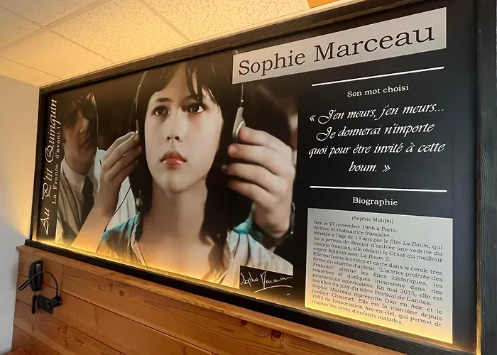 Au Petit Quinquin Hotell Céaux